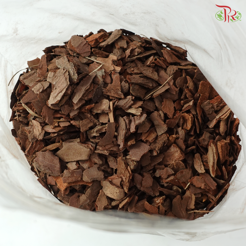 Tree Bark 松树皮 (900G)