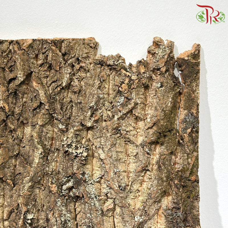 Tree Bark Skin《树皮》1KG