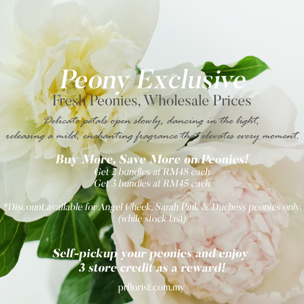 Fresh Peony Exclusive