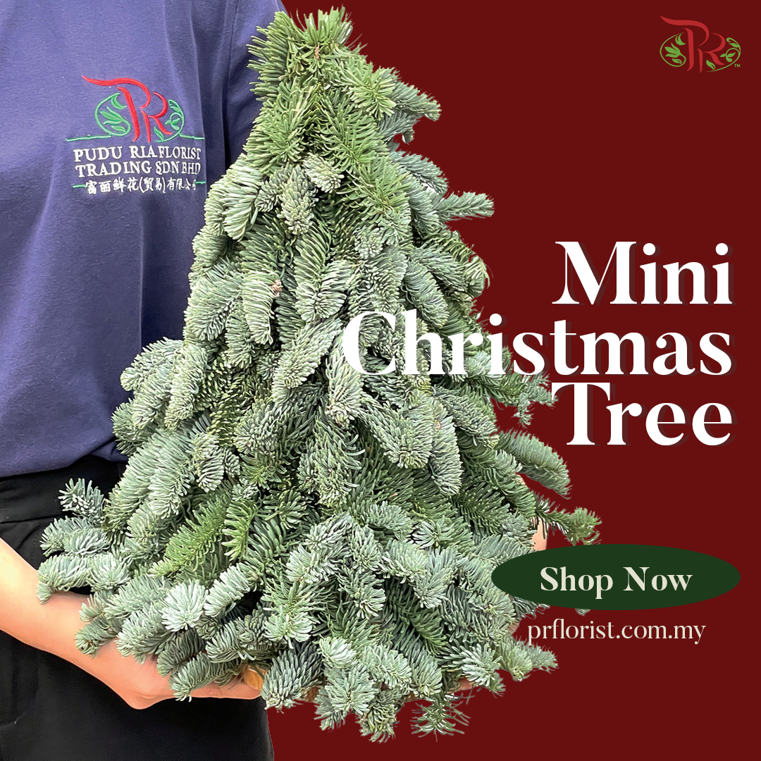 Mini Christmas Tree - (30 CM)