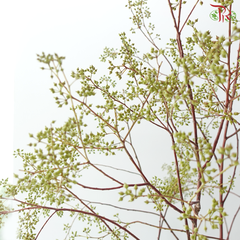 Mini Fruit Branch (Per Stem)