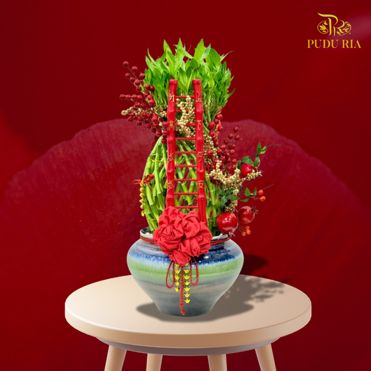 【CNY 2026】Auspicious Rising Luck Bamboo (M size) 《鸿运步步高升竹》