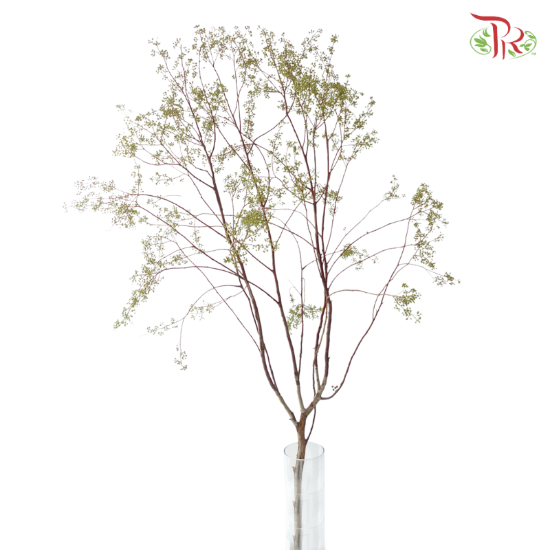 Mini Fruit Branch (Per Stem)