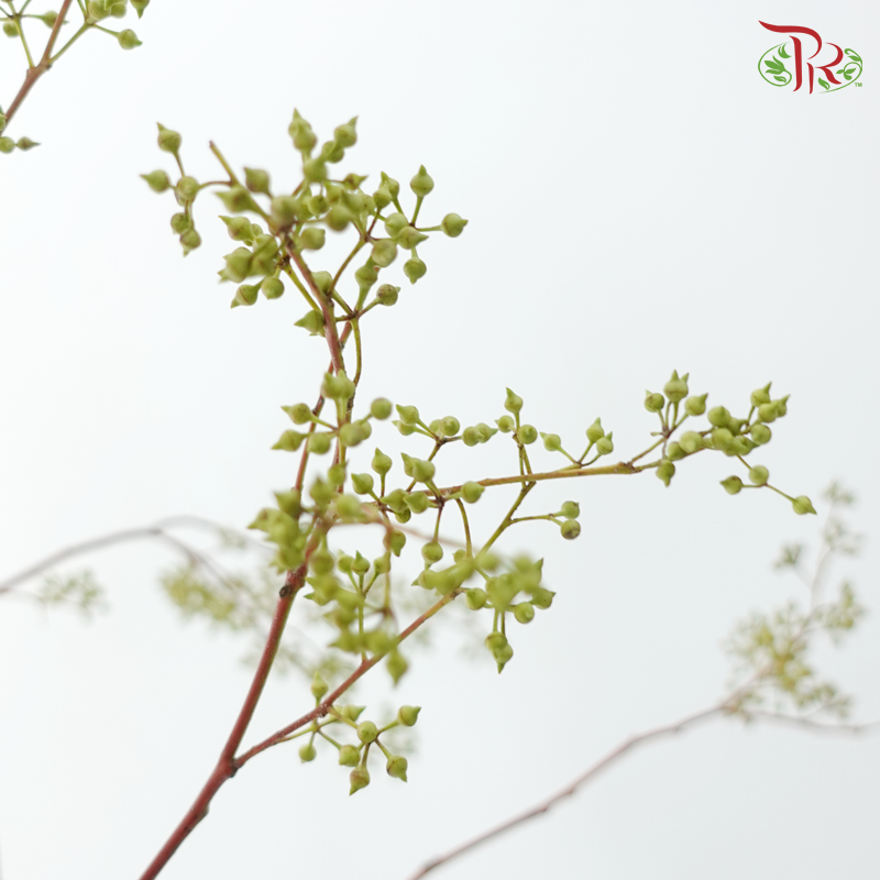 Mini Fruit Branch (Per Stem)