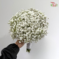 Bridal Bouquet - Cloud of Love