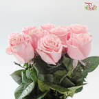 Ceres Rose - Velvet Rose Gold (10 Stems)