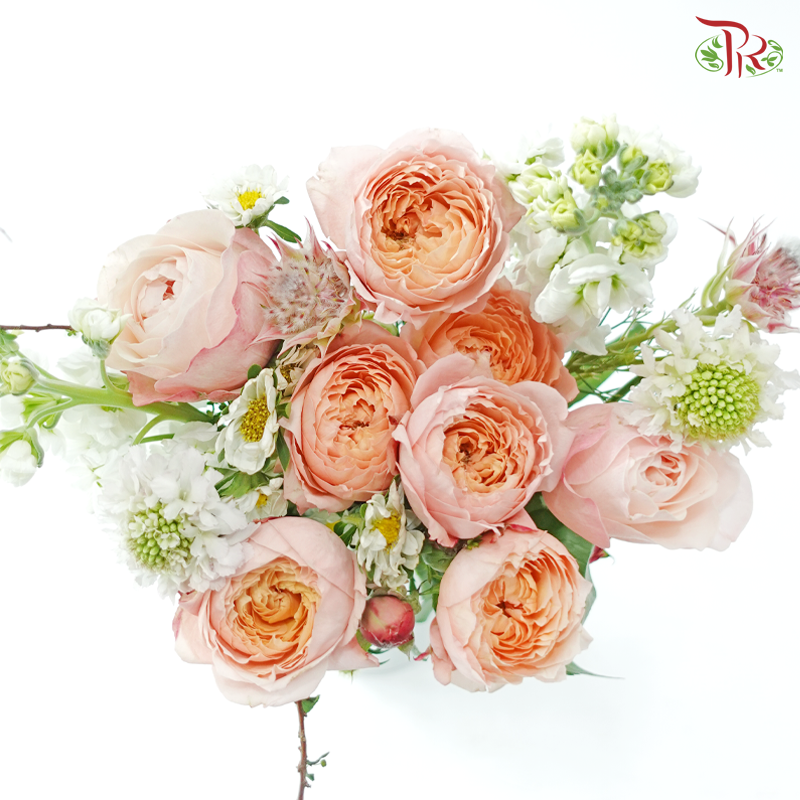 Signature Weekly Flower Bunch - Vanilla Peach Cloud (Medium Bunch)