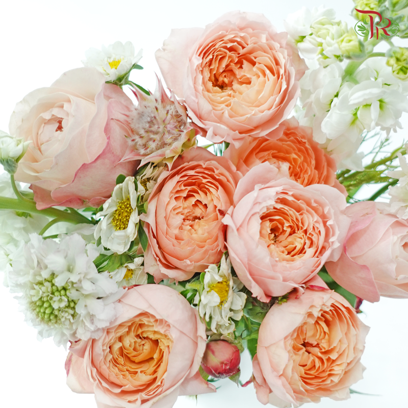 Signature Weekly Flower Bunch - Vanilla Peach Cloud (Medium Bunch)