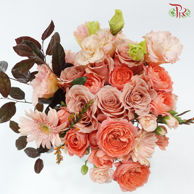 Signature Weekly Flower Bunch - Cappuccino Sunset Bliss (Big Bunch)