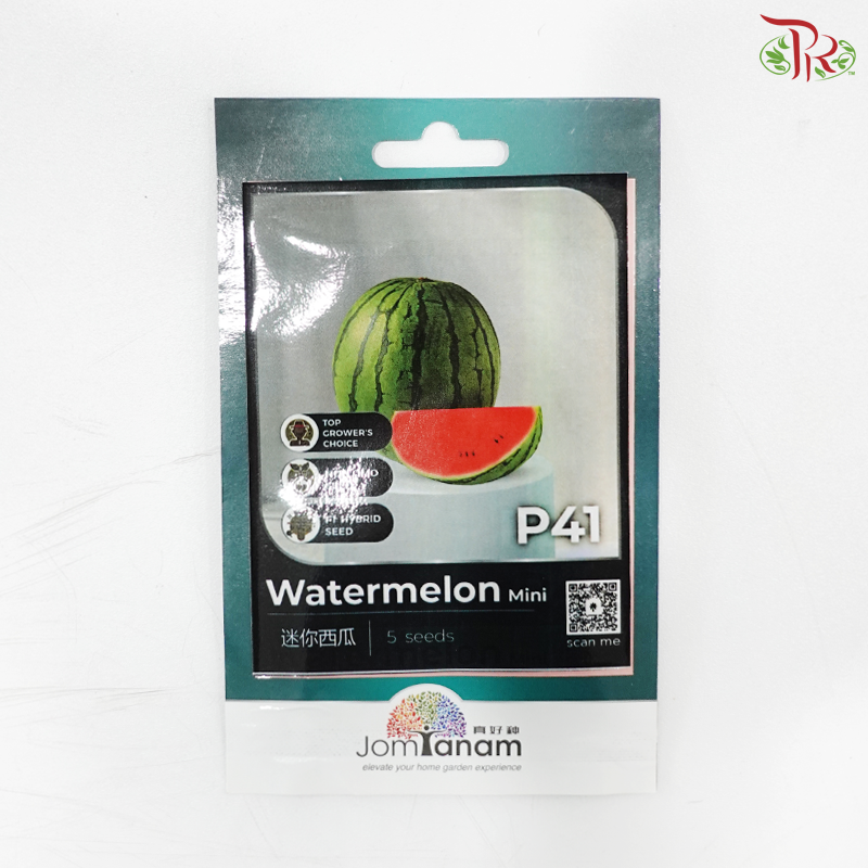 【Jom Tanam Seeds】Fruit Series (Per Pack) (With Options)