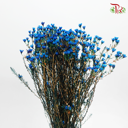 Wax Flower - Blue (Per Bunch)