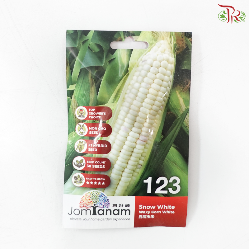 【Jom Tanam Seeds】Fruity Vegetable Series - Others (Per Pack) (With Options)