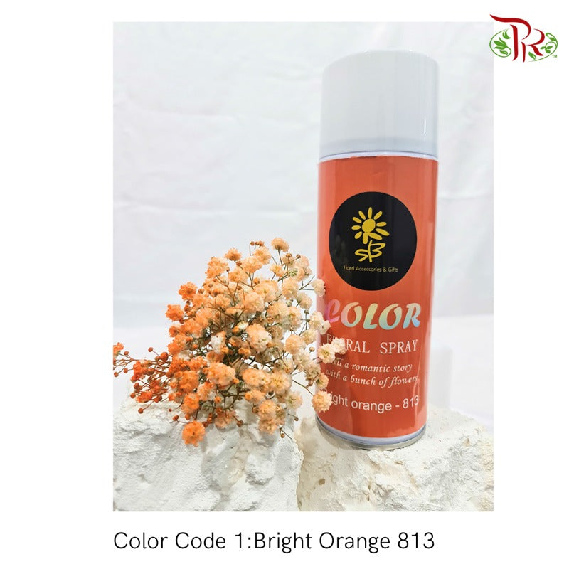 SB Color Spray - Bright Orange (813)