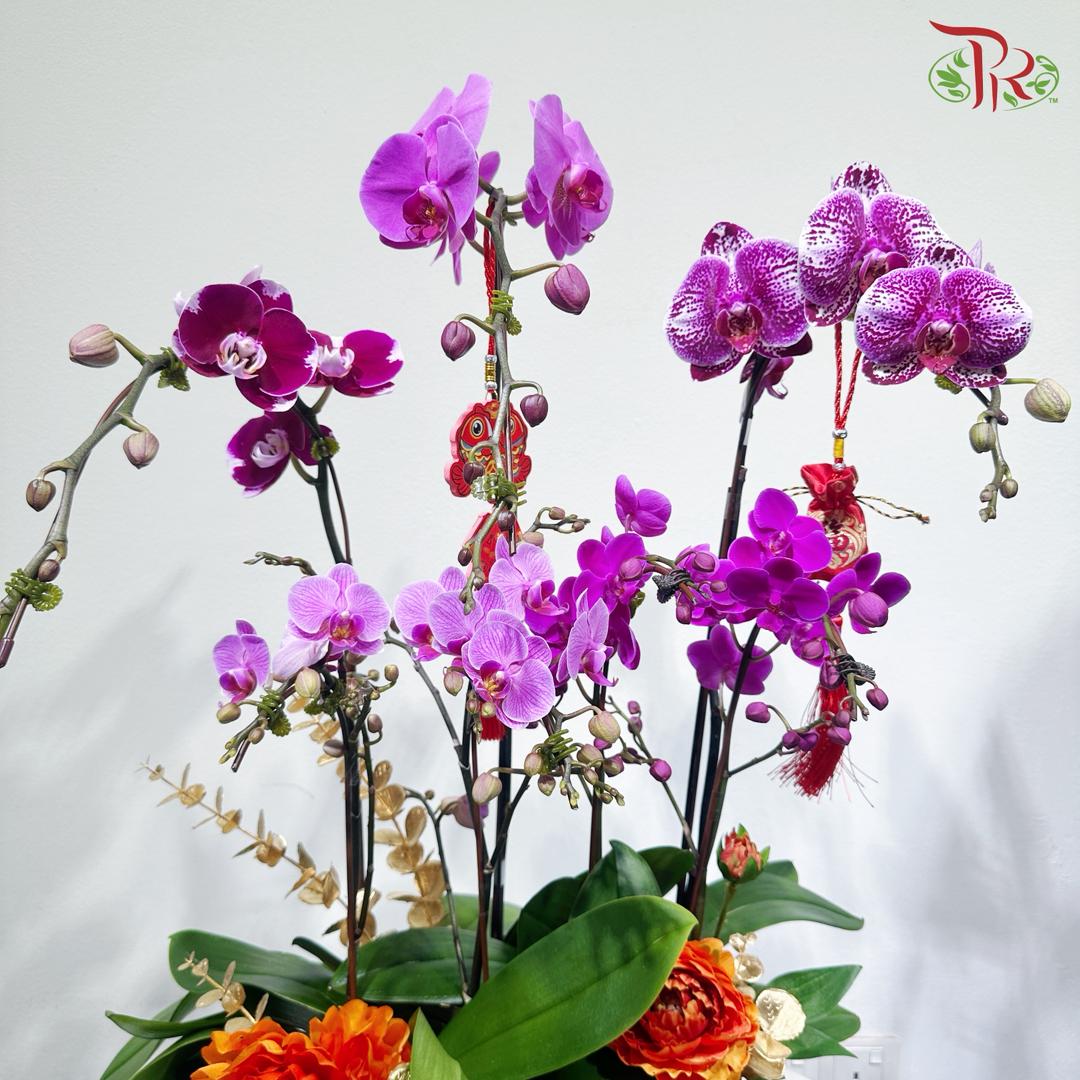 【CNY 2026】Prosperity Fills The Hall《富贵满堂》(Random Choose Orchid Color)