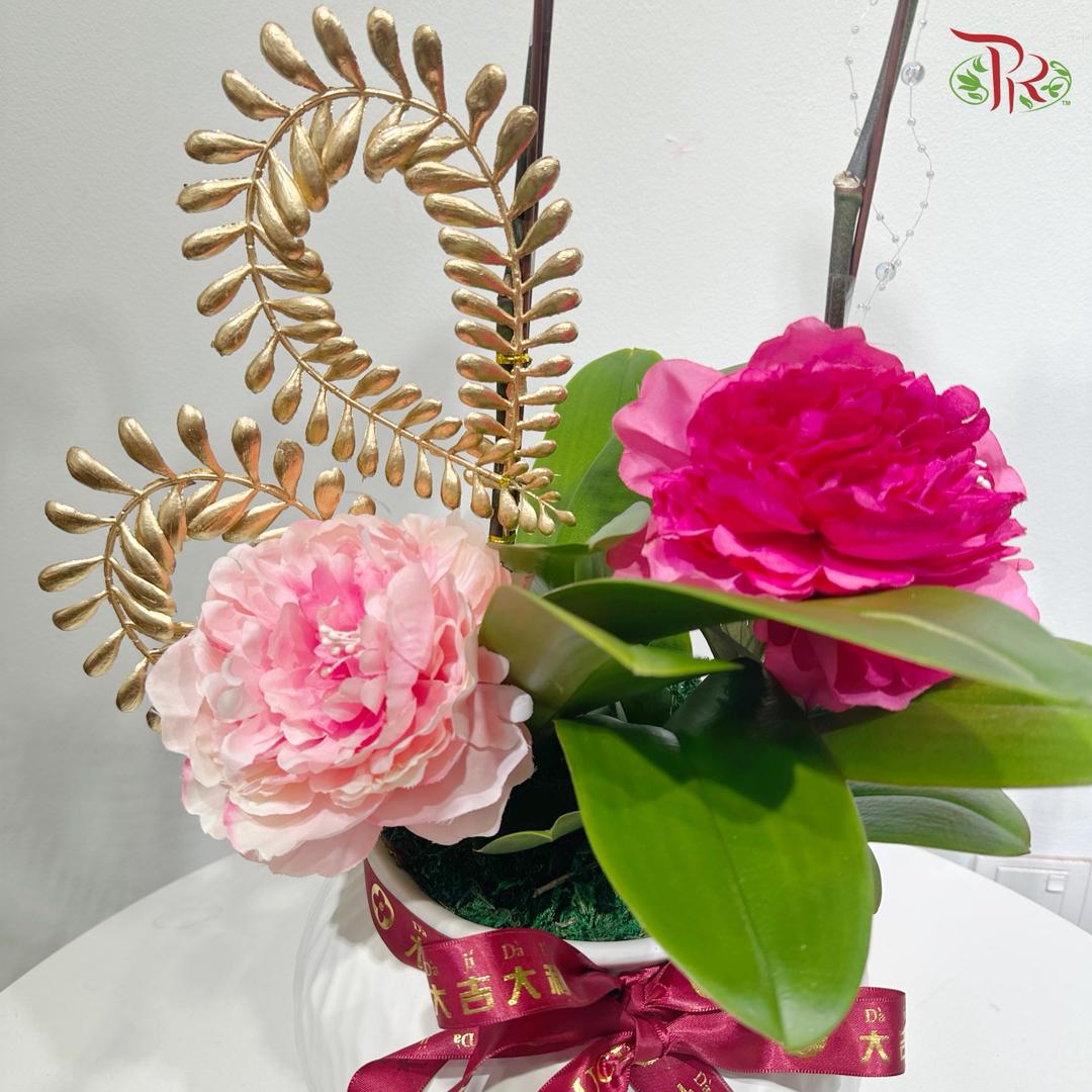 【CNY 2026】Spring Everywhere 《春满人间》(Random Choose Orchid Color)