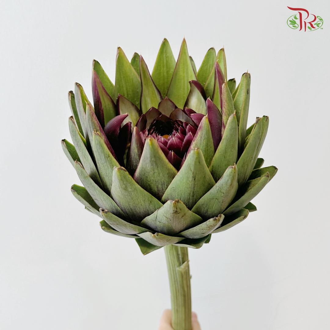 Artichoke / Cynara (Per Stem)