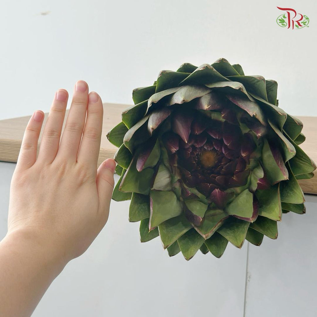 Artichoke / Cynara (Per Stem)