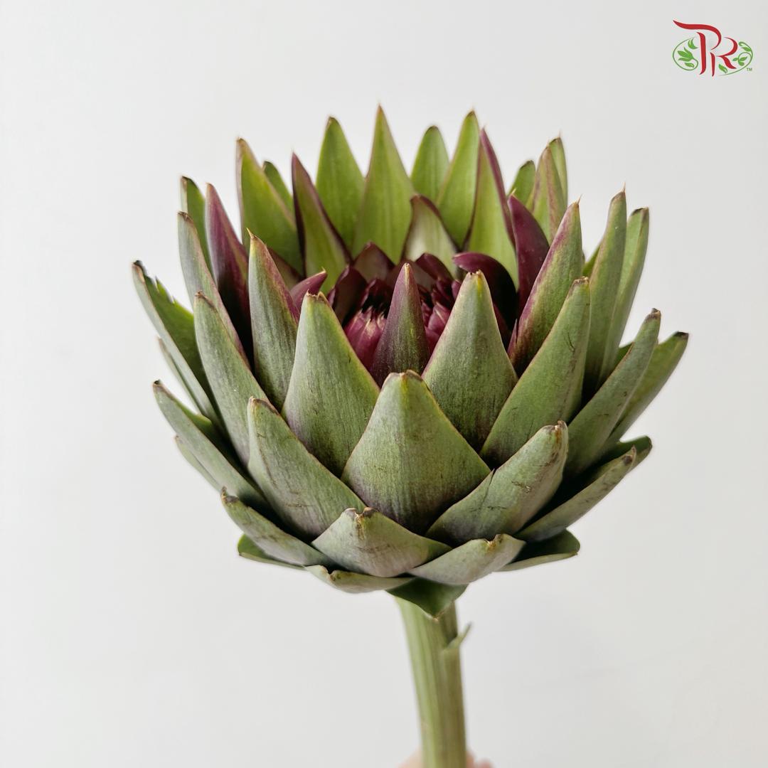 Artichoke / Cynara (Per Stem)