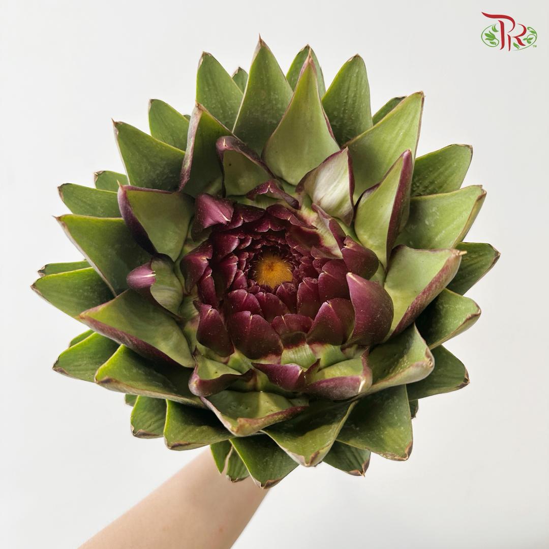 Artichoke / Cynara (Per Stem)