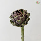 Artichoke / Cynara (Per Stem)