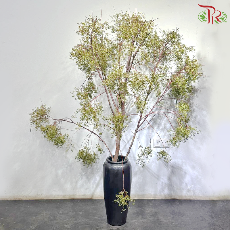 Wolly Ball Branch (Per Stem) (With Size Options)