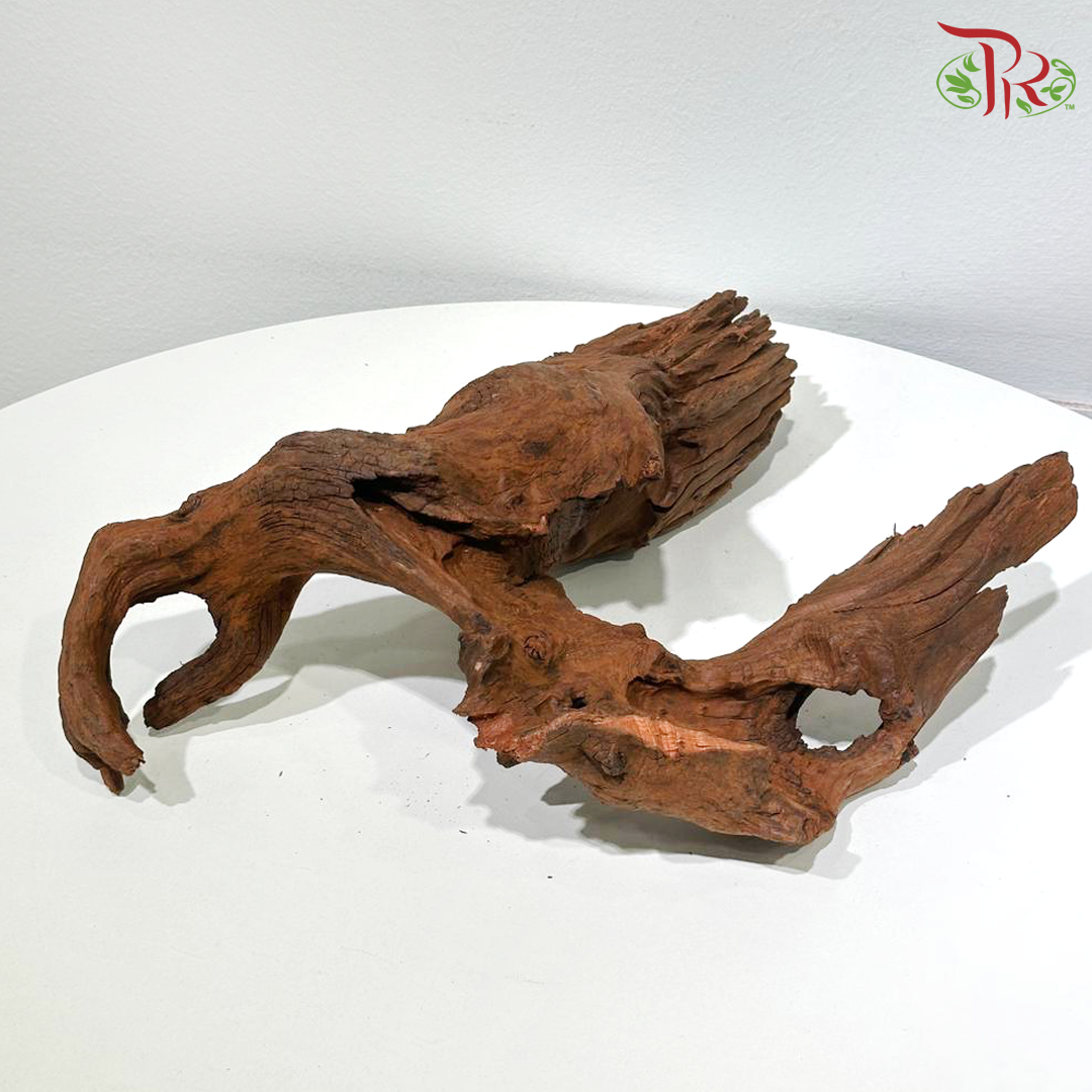 Porous Sunken Wood《多孔木》1KG