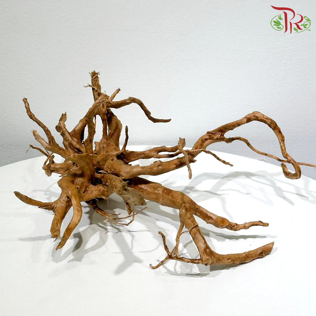 Du Juan Gen - Small《小号杜鹃根》1KG