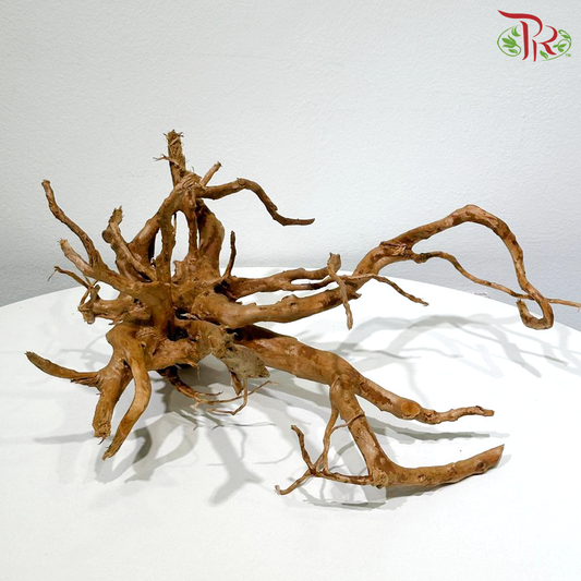 Du Juan Gen《杜鹃根》1KG