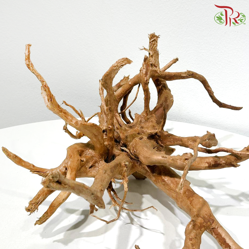 Du Juan Gen - Small《小号杜鹃根》1KG