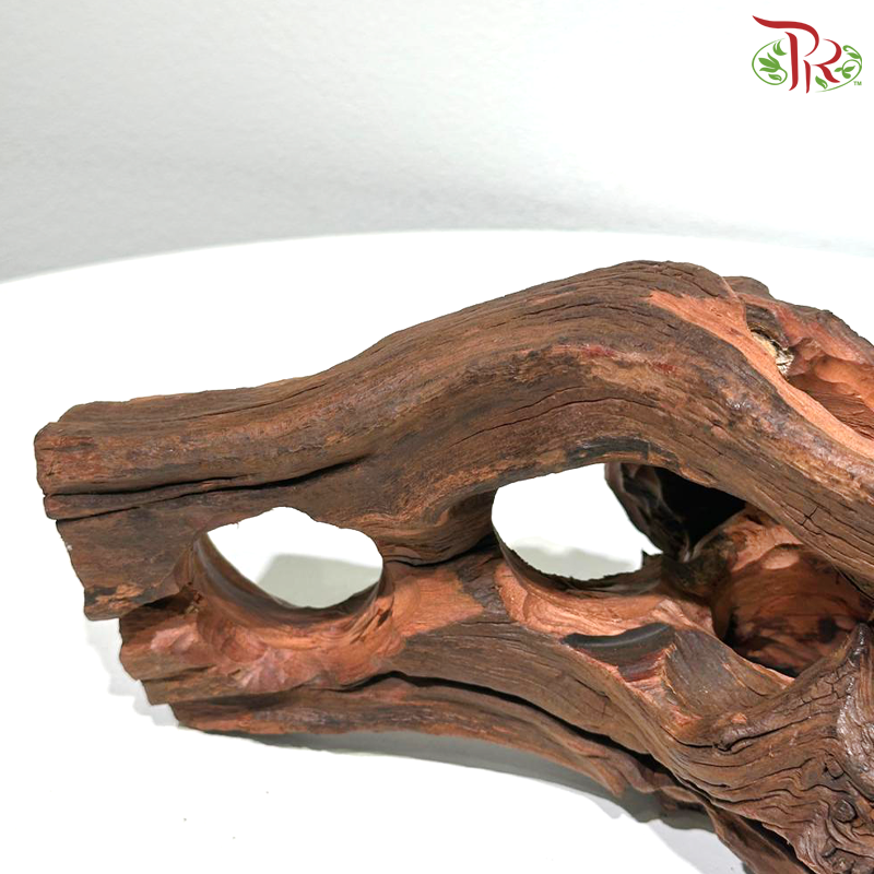 Porous Sunken Wood《多孔木》1KG