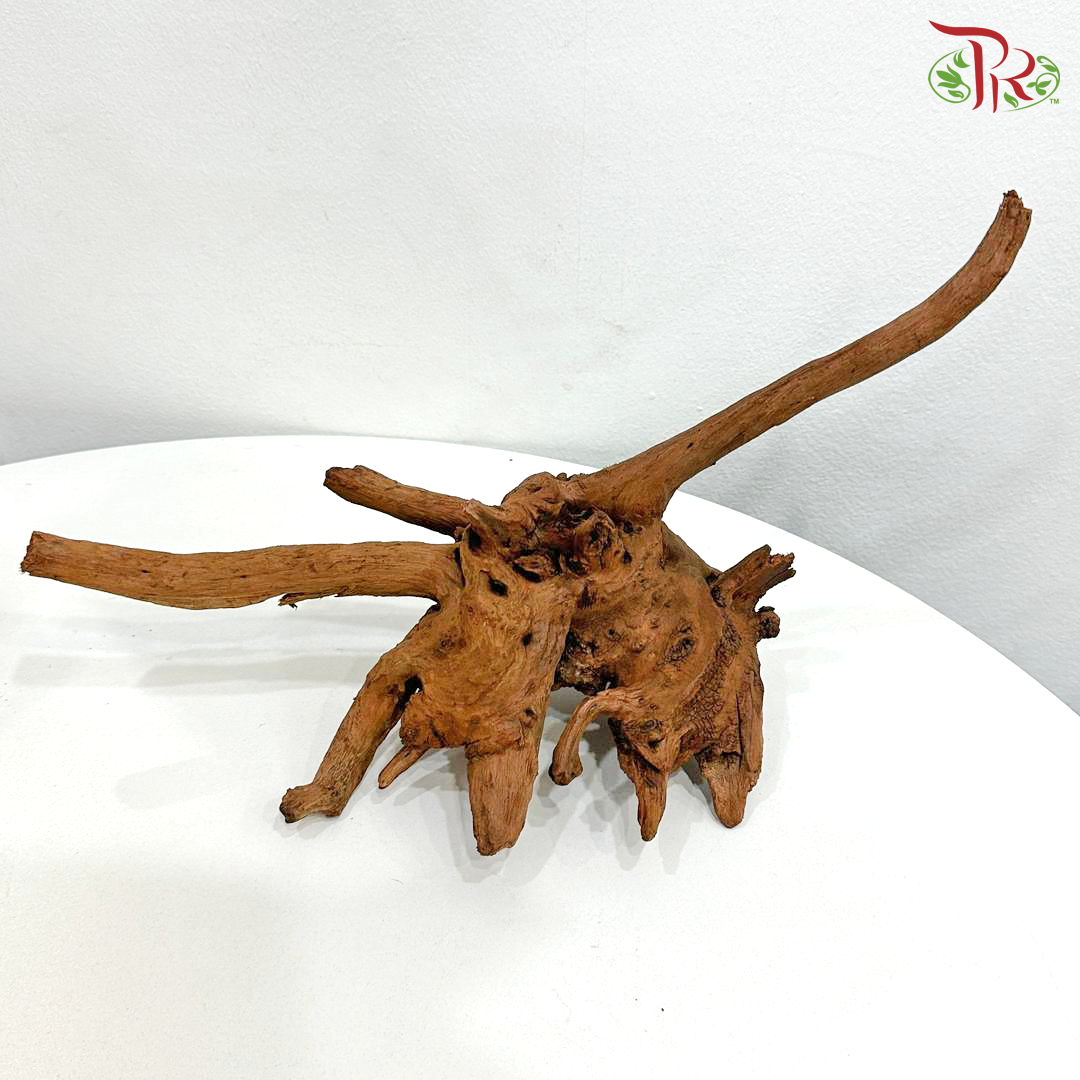 Fine Sunken Wood《抛光沉木》1KG – Pudu Ria Florist