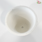 XK-7702 Pot
