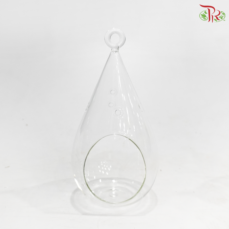 Y186018 - Teardrop Terrarium Hanging Glass Vase