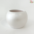 Y-5550 Pearl White Pot