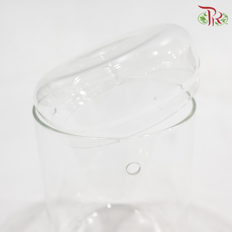 YM150D - Terrarium Vase (YSYM150D)