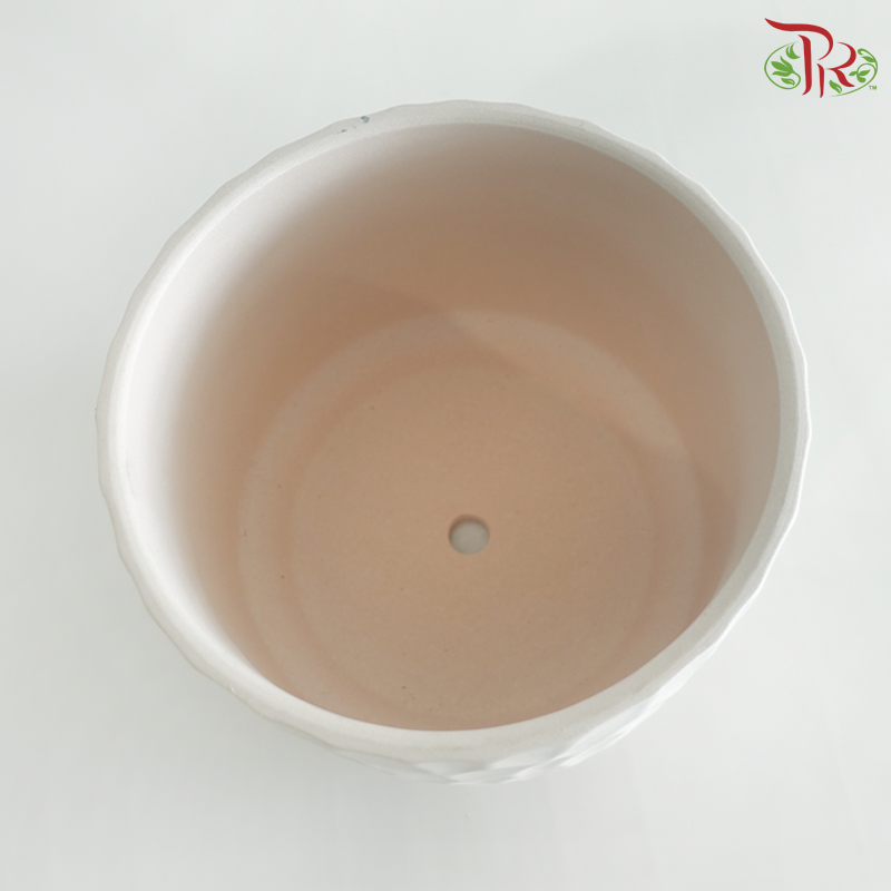 YS-5541 - Pot (YS-5541PW / YS-5541PB) (With Color Options)