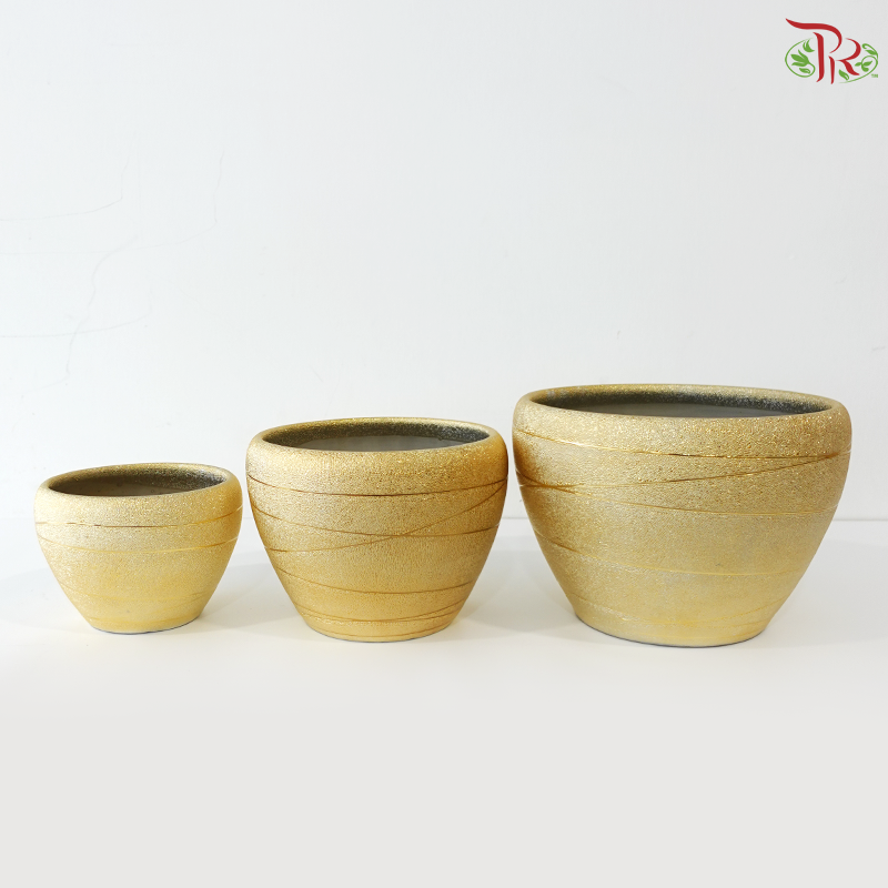 YU-571 Gold Pot