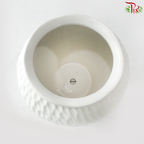 ZF-1008 - White Pot (ZF-1008)