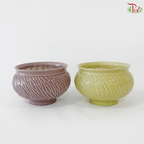 ZF-5007 Pot (With Color Option)