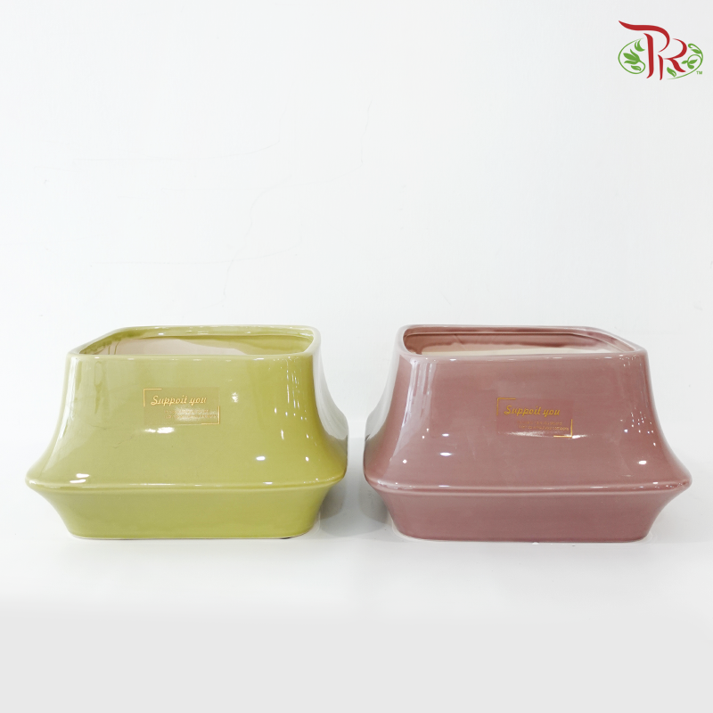 ZF-1069 Pot (With Color Option)