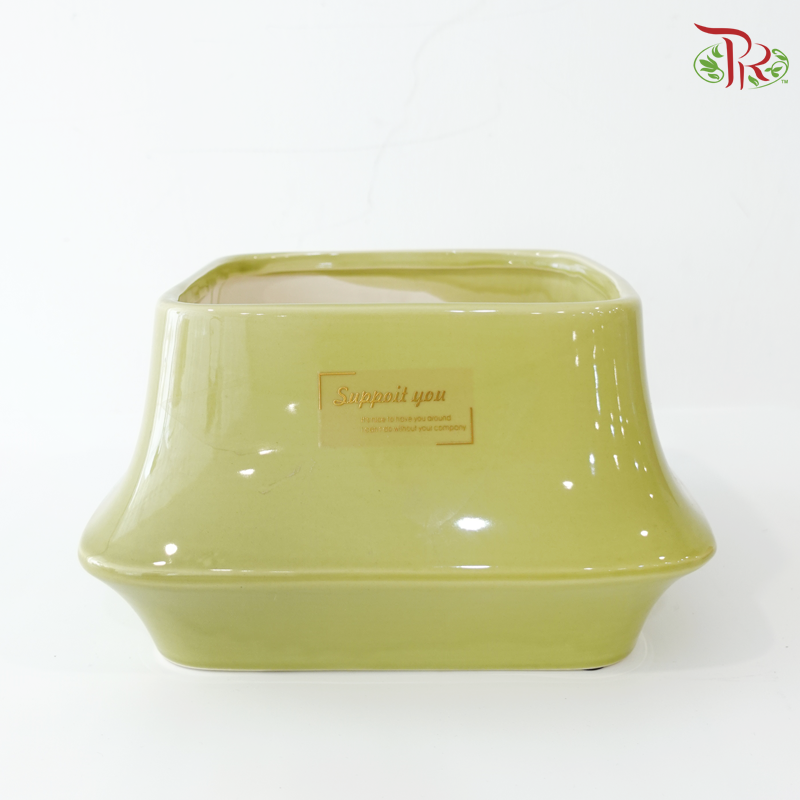 ZF-1069 Pot (With Color Option)