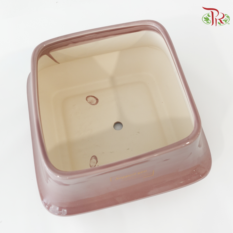ZF-1069 Pot (With Color Option)