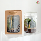 【Father's Day Series】 Qi Tian Da Sheng Terrarium (With Option)