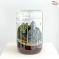 【Father's Day Series】 Zen Wu Kong Terrarium (With Option)