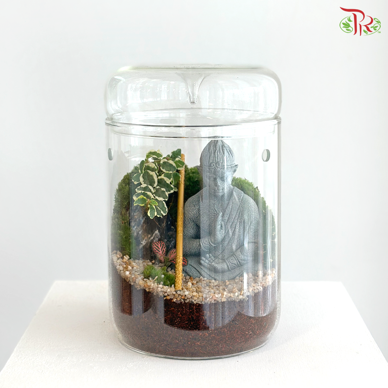【Father's Day Series】 Zen Wu Kong Terrarium (With Option)