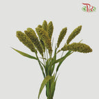 Amaranthus - Straight Green (5 Stems)-Green-Netherland-prflorist.com.my