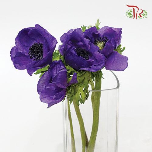 Anemone Hupehensis - Purple (Per Bunch) ***FRAGILE-Purple-China-prflorist.com.my