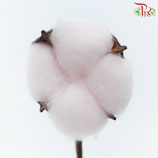 Artificial Cotton Flower - Light Pink (10 Stems)-Light Pink-China-prflorist.com.my