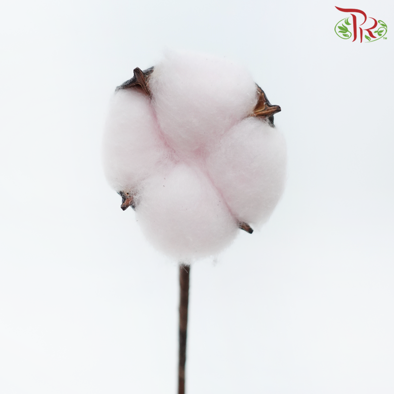 Artificial Cotton Flower - Light Pink (10 Stems)-Light Pink-China-prflorist.com.my