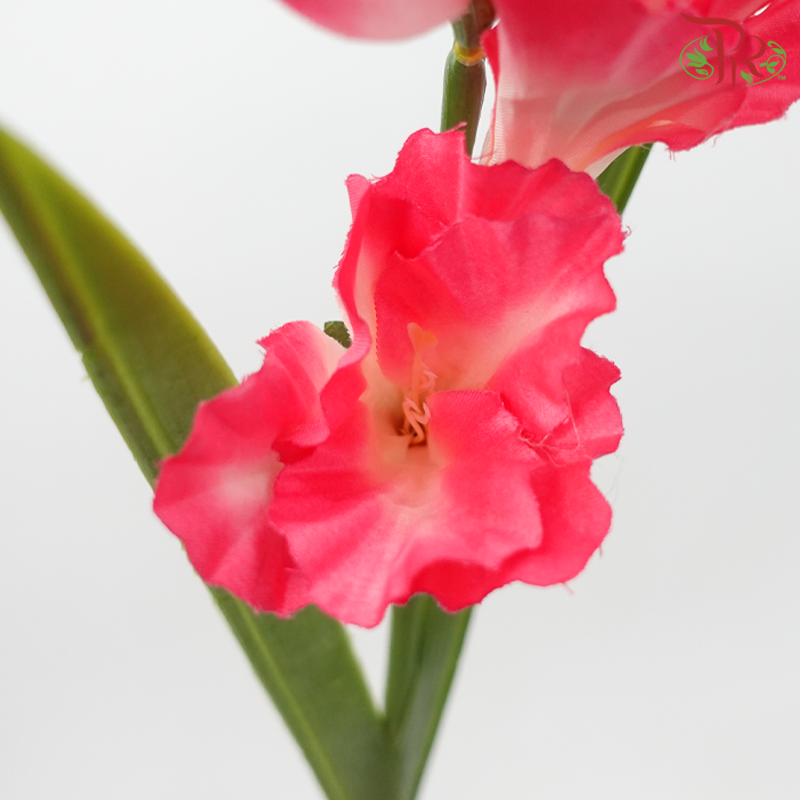 Artificial Gladiolus Spray - Neon Pink (2 Stems）-Neon Pink-Pudu Ria Florist-prflorist.com.my